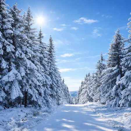 Hotelove Z Biokominkiem Stara Kuznia Lägenhet Karpacz