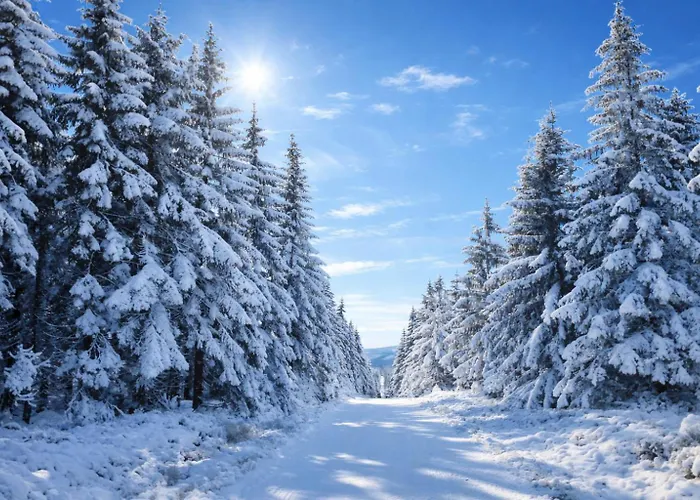 Hotelove Z Biokominkiem Stara Kuznia Lägenhet Karpacz